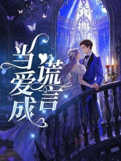 当爱成谎言萧辰林月小说全章节最新阅读-二筒文学网