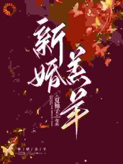 热文新婚羔羊小说-主角宁芷靳驰寒全文在线阅读