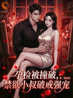 孕检被撞破，禁欲小叔破戒强宠是什么小说黎糯宫宴全本免费阅读