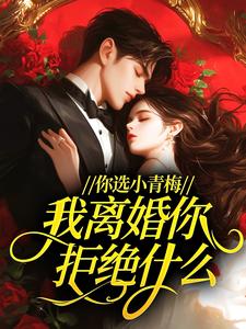 沈清黎孟绥安小说(你选小青梅，我离婚你拒绝什么？)_沈清黎孟绥安小说最新章节