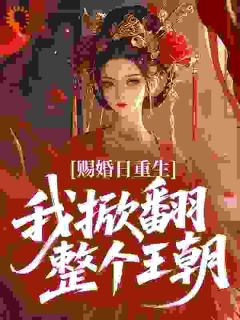 吹泡泡写的小说赐婚日重生，我掀翻整个王朝在线阅读-二筒文学网