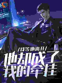 我等他离开，他却成了我的牵挂小说(连载文)-赵宏安胡国琴无广告阅读