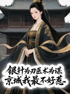 银针为刃医术为谋，京城我最不好惹小说(完结版)-凤九赵子墨在线阅读