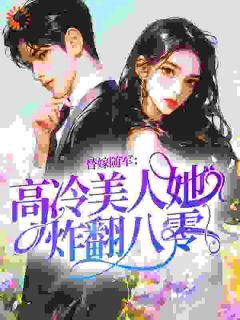 凝脂美人替嫁随军，成大院万人迷宁希陆徽大结局小说全章节阅读-二筒文学网