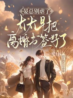 小说晏总别虐了，太太早把离婚书签好了主角为容初晏司聿免费阅读