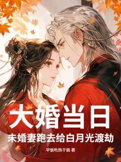 大婚当日，未婚妻跑去给白月光渡劫精彩章节-大婚当日，未婚妻跑去给白月光渡劫免费阅读全文