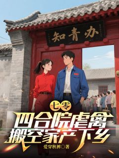 百度贴吧小说七零：四合院虐禽，搬空家产下乡，主角孟少华赵秀琴全文免费