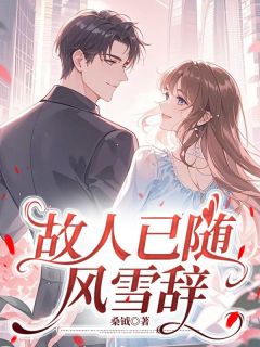 故人已随风雪辞大结局阅读 宋淮安顾宇小说在线章节