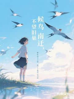 无广告小说候鸟南迁，不望旧巢-喻晴沈言心在线阅读