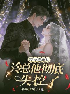 冷寒念初结局是什么 冷寒念初免费阅读全文-二筒文学网