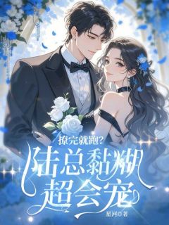 快手热推撩完就跑？陆总黏糊超会宠小说主角苏纨陆庭言在线阅读