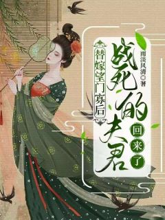 替嫁望门寡后，战死的夫君回来了喻青瓷陆云起全本小说（替嫁望门寡后，战死的夫君回来了）全章节小说目录阅读