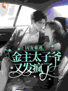 最完整版囚宠难逃，金主太子爷又发疯了热门连载小说