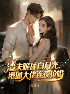 小说推荐离婚当天，暗恋我的大佬直接抢婚完结版全章节阅读-二筒文学网