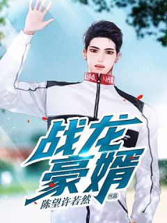 良心推荐战龙豪婿小说试读