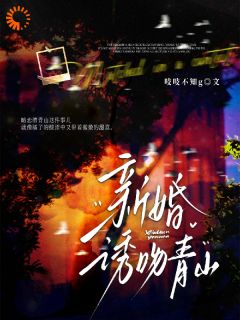 老书虫书荒推荐撞进他怀里，撞出一生宠爱txt小说阅读