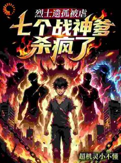 被虐后进战区，爹！你干儿子来投奔了！小说(连载文)-苏晨苏宝无广告阅读