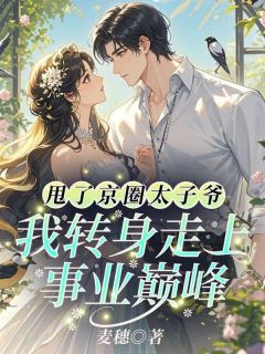 甩了京圈太子爷，我转身走上事业巅峰小说的书名是什么