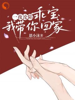 一夜沦陷，乖宝，我带你回家最新章节免费阅读by恩小沫无广告小说
