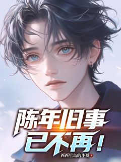 陈年旧事已不再精彩小说-陈年旧事已不再目录阅读-二筒文学网
