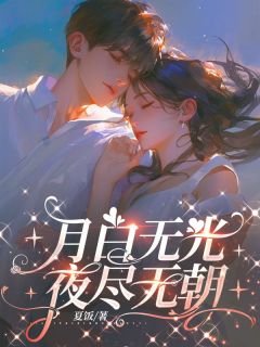 叶朝陆淮安月白无光，夜尽无朝小说完整版