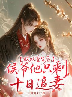 免费试读主角宋里里裴珏小说-二筒文学网