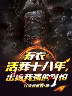 寿衣活葬十八年，出棺我强的可怕在线阅读 陈平安免费小说精彩章节