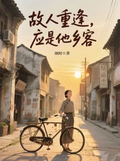 故人重逢，应是他乡客章节全目录 知意陆怀瑾全文免费阅读