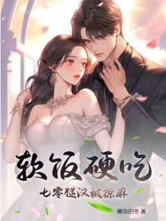 沐禾婉蒋灏全章节阅读-软饭硬吃，七零糙汉被撩麻全文分享阅读