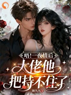唔！一夜情后，大佬他把持不住了免费小说作者颜久久全文阅读