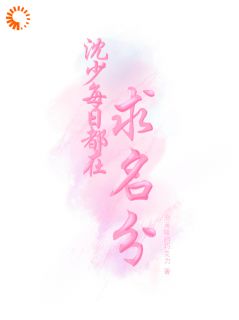 沈少每日都在求名分小说的书名是什么