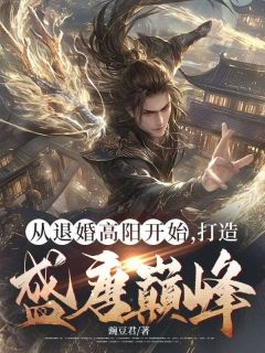 从退婚高阳开始，打造盛唐巅峰！小说全章节目录阅读BY豌豆君完结版阅读-二筒文学网