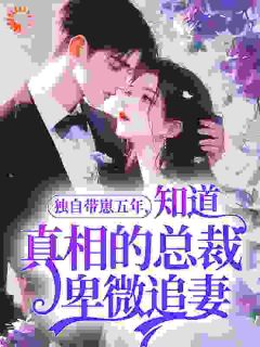 抖音完结独自带崽五年，知道真相的总裁卑微追妻林安南霍宴珩(全文在线阅读)