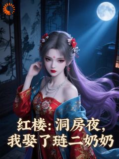 全本资源在线阅读红楼：洞房夜，我娶了琏二奶奶贾瑛王熙凤