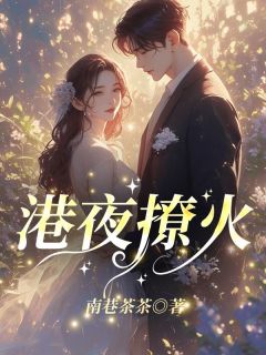 港夜撩火陈粟瞿柏南无广告在线阅读