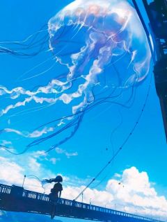 我靠老公生九子，继承他百亿家产（江迟沈月）精彩小说目录阅读-二筒文学网