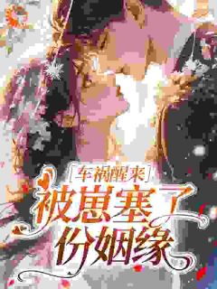 陈淙宗政白主角小说陈助怎么还不离婚抖音文免费阅读全文