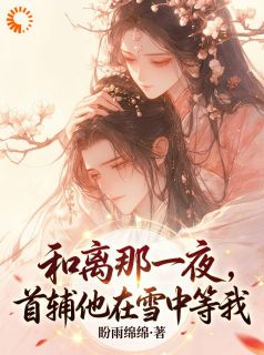 主角沈清婉裴凌州小说完整版-和离那一夜，首辅他在雪中等我免费阅读全文
