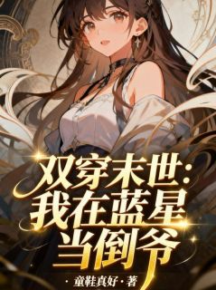 双穿末世：我在蓝星当倒爷无广告阅读 叶南徐薇免费在线阅读