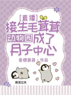 最新小说直播接生毛茸茸，动物园成了月子中心主角时安澜沈无隅全文在线阅读