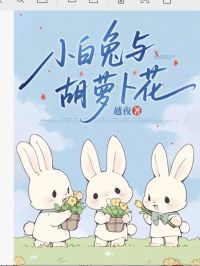 夏雨汐谢泽屿小白兔与胡萝卜花小说完整版
