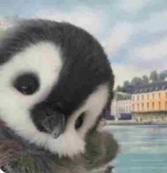 中奖一个亿，分我妈五百万，她却和我哭穷最新章节免费阅读by优优无广告小说