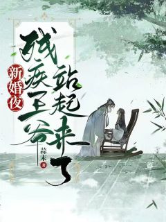 主角桑云汐北冥御小说,新婚夜残疾王爷站起来了免费阅读全文