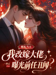 主角苏以安许时舟的小说作者一朵云