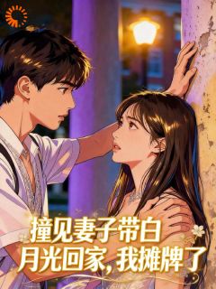 主角是沈执江挽意的小说叫什么撞见妻子带白月光回家，我摊牌了免费全文阅读-二筒文学网