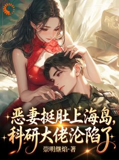 恶妻挺肚上海岛，科研大佬沦陷了(沈夏谢长洲)最新章节