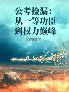 公考捡漏：从一等功臣到权力巅峰在线全文阅读-主人公叶辰陈雪小说-二筒文学网
