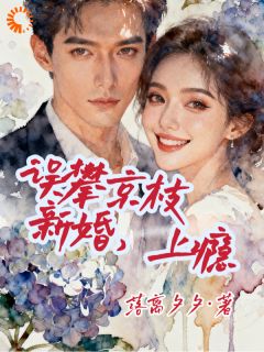 落离夕夕的小说误攀京枝，新婚，上瘾全文阅读-二筒文学网