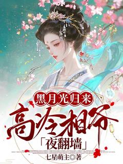 黑月光归来，高冷相爷夜翻墙by七星萌主-二筒文学网