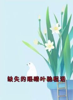 精彩小说缺失的眼睛叶驰程诺程诺叶驰全章节在线阅读-二筒文学网